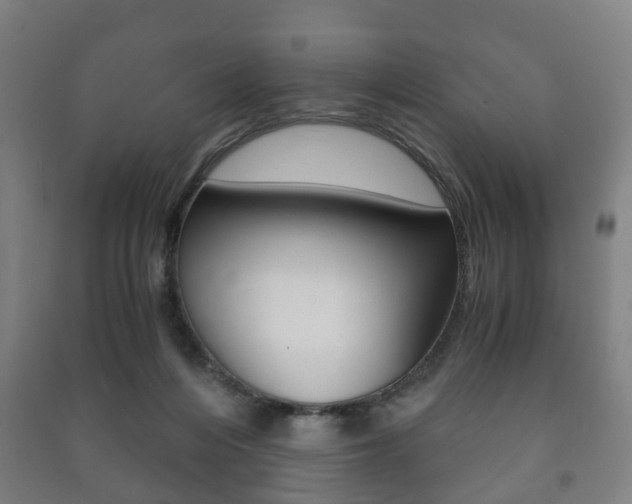 X0000091450216200708161054