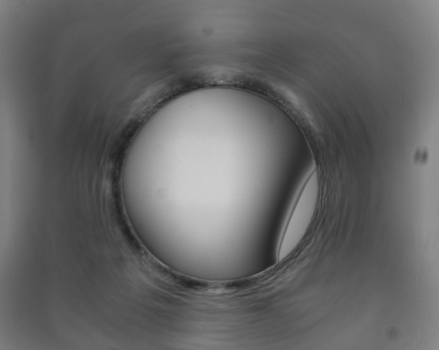 X0000091450217200708161054