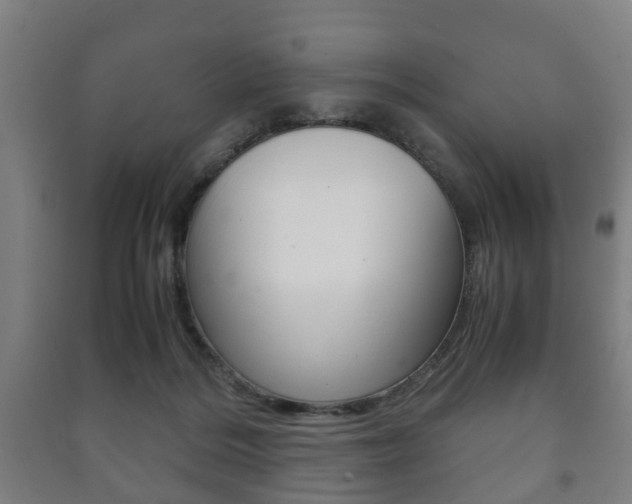 X0000091450220200708161053