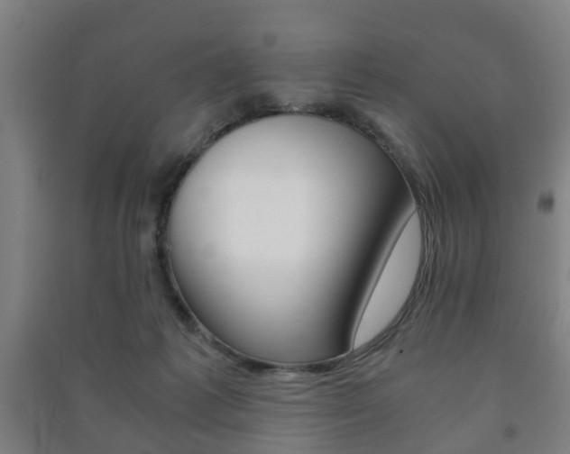 X0000091450221200708161053