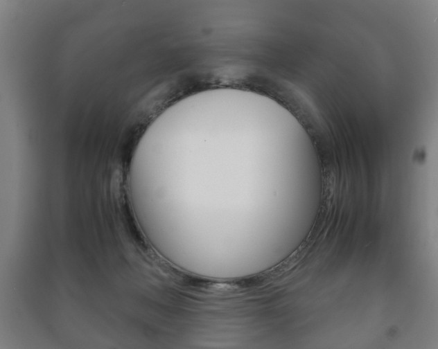 X0000091450222200708161053