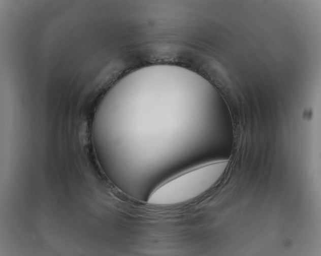 X0000091450224200708161053