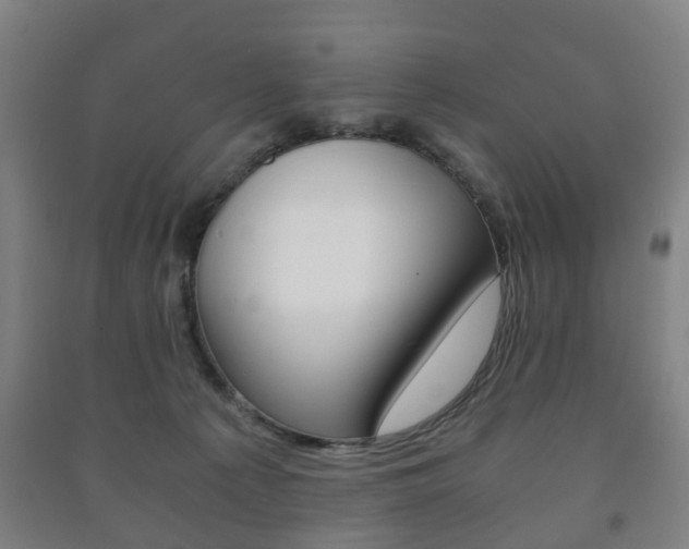 X0000091450225200708161053