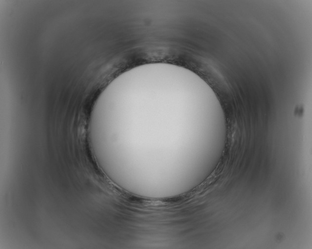 X0000091450226200708161053