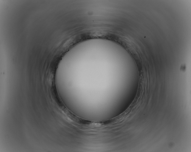 X0000091450227200708161053
