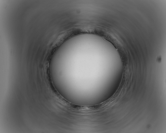 X0000091450229200708161053