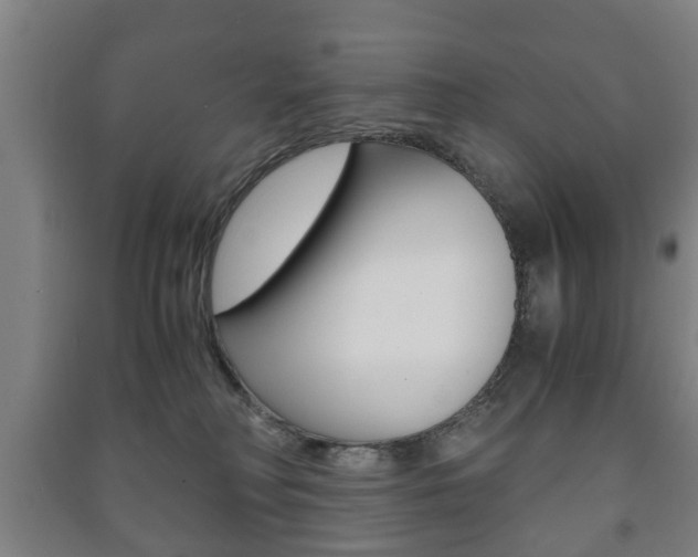 X0000091450230200708161053