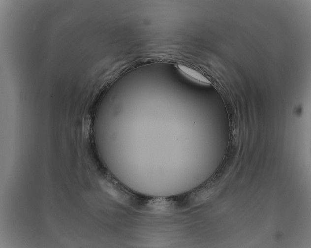 X0000091450231200708161053