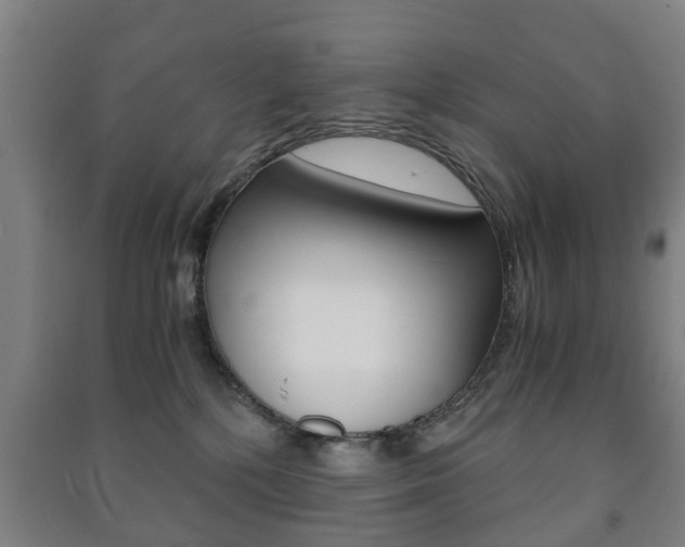 X0000091450232200708161053