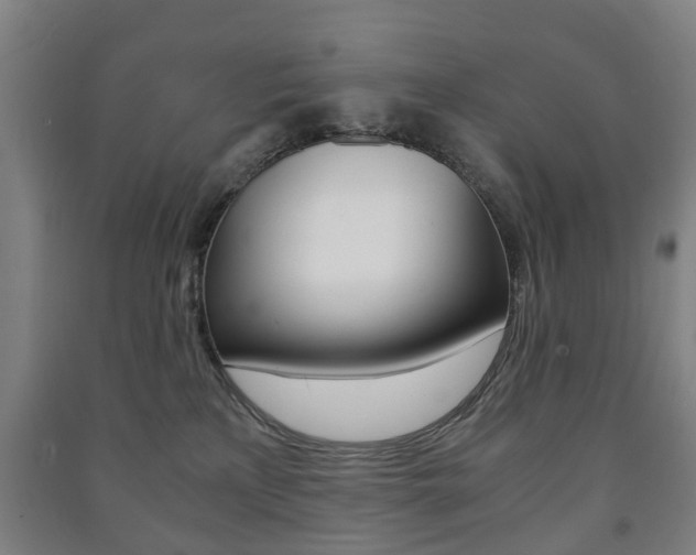 X0000091450233200708161053