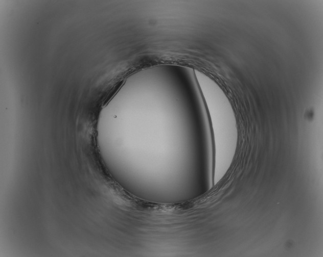 X0000091450235200708161053