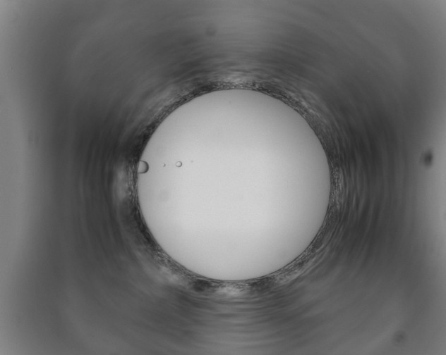 X0000091450236200708161053