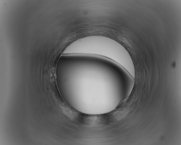 X0000091450237200708161053