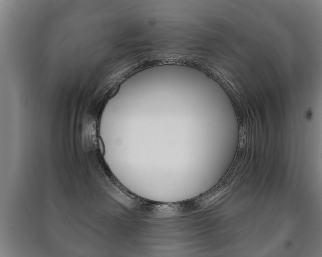 X0000091450238200708161053