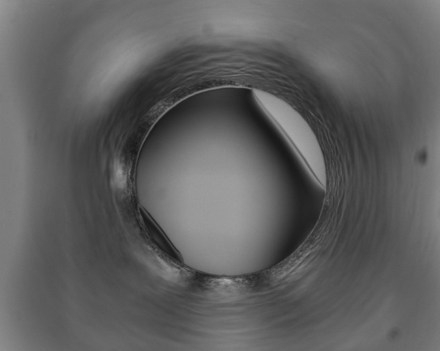 X0000091450239200708161053