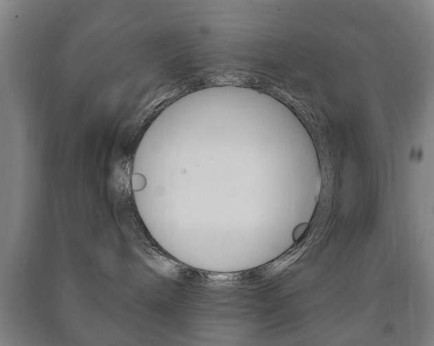X0000091450240200708161053