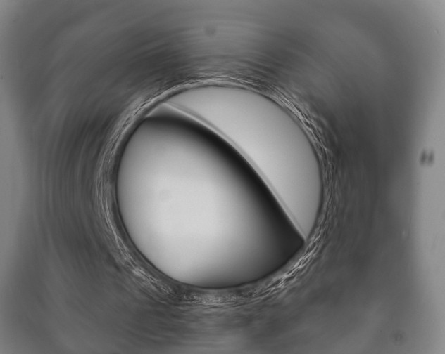 X0000091450241200708161053