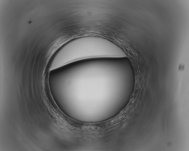 X0000091450242200708161053