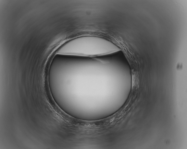 X0000091450243200708161053