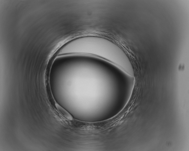 X0000091450244200708161053