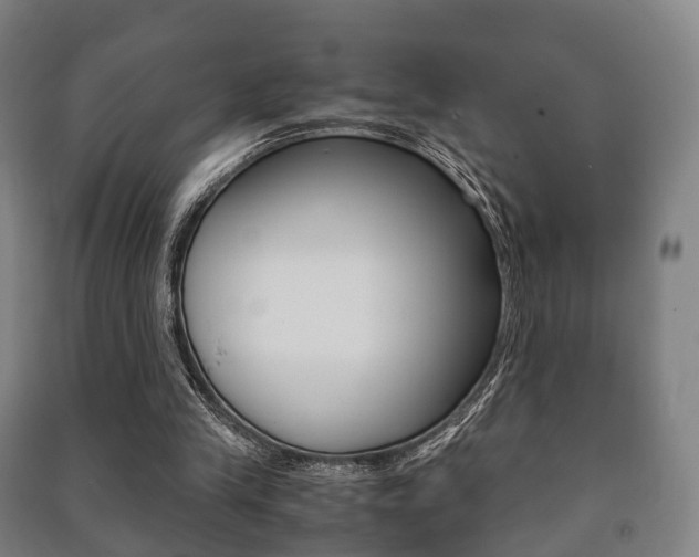 X0000091450245200708161053