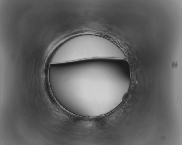 X0000091450247200708161053