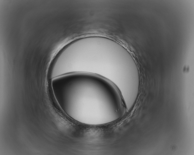 X0000091450248200708161053