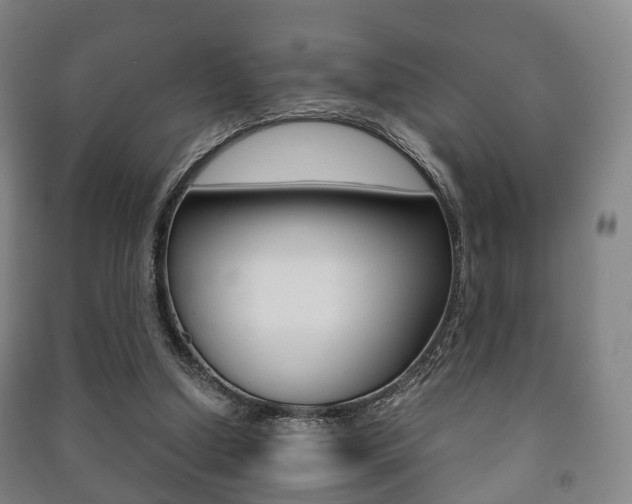 X0000091450250200708161053