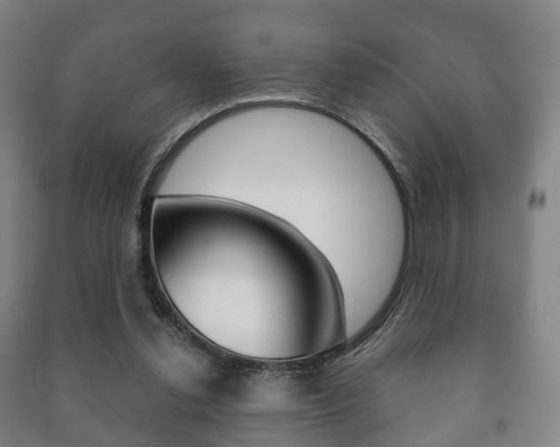 X0000091450252200708161053
