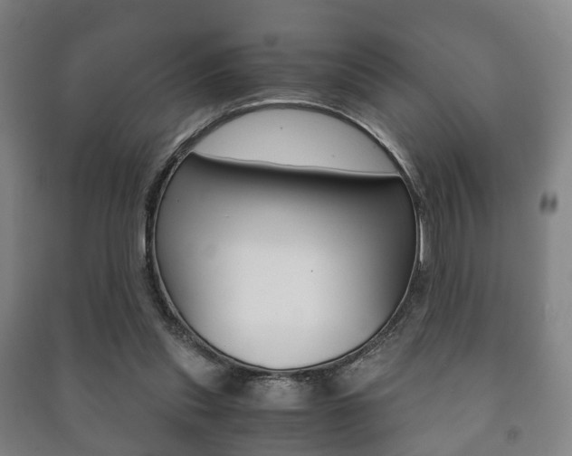 X0000091450253200708161053