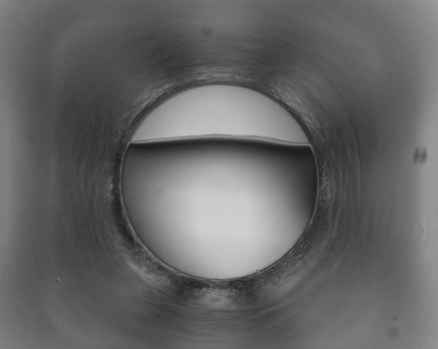 X0000091450255200708161053