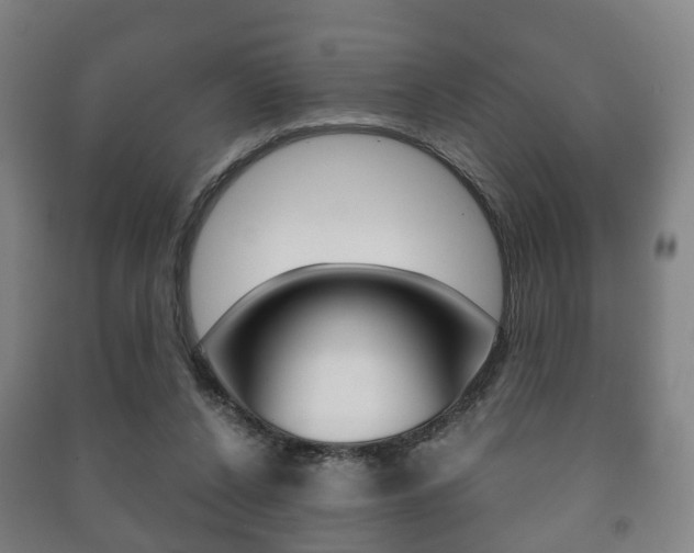 X0000091450256200708161053