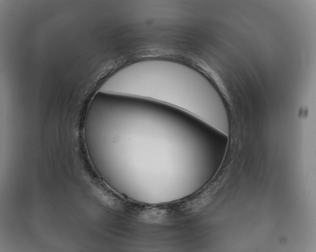 X0000091450257200708161053