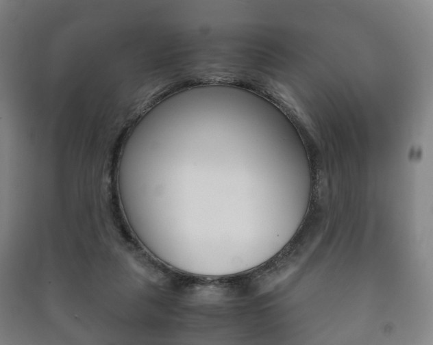 X0000091450259200708161053