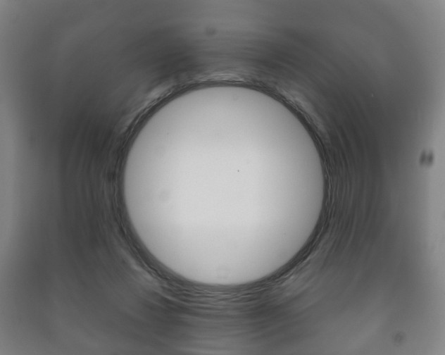 X0000091450260200708161053