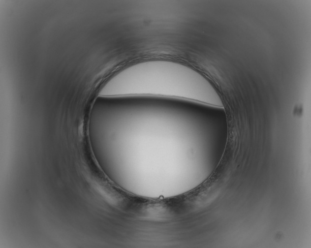 X0000091450262200708161053
