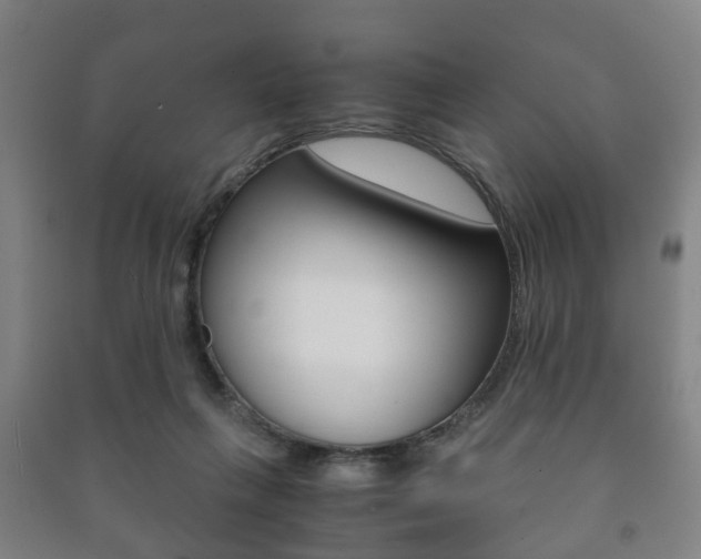 X0000091450263200708161053