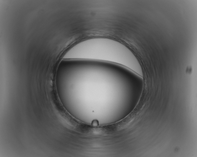 X0000091450264200708161053