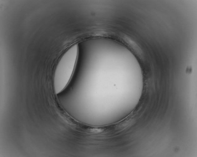 X0000091450265200708161053