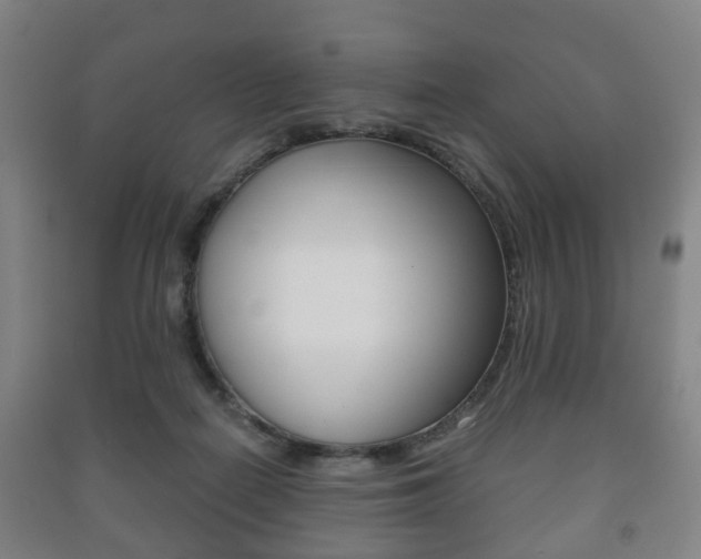 X0000091450266200708161053