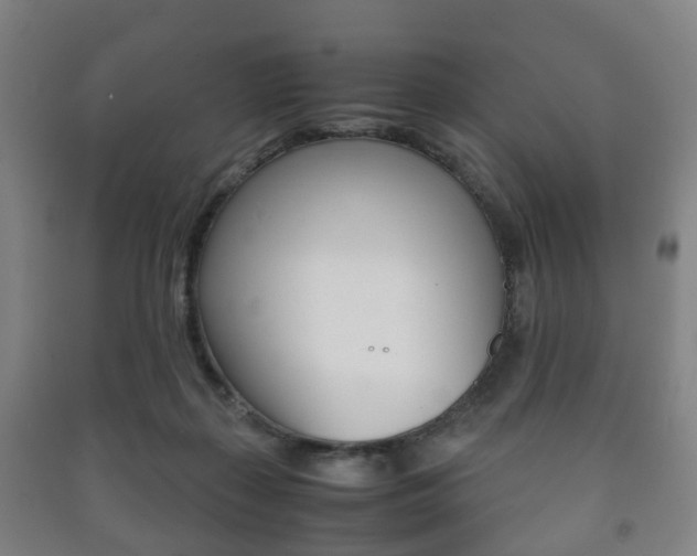 X0000091450267200708161053