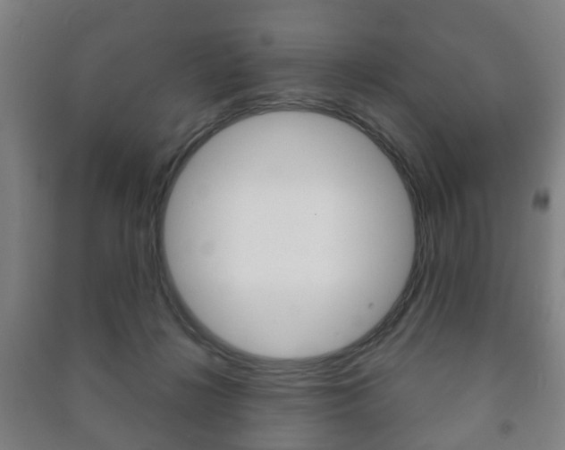 X0000091450268200708161053