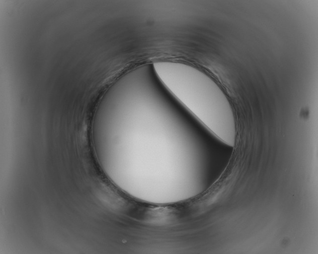 X0000091450269200708161053