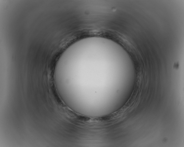 X0000091450270200708161053
