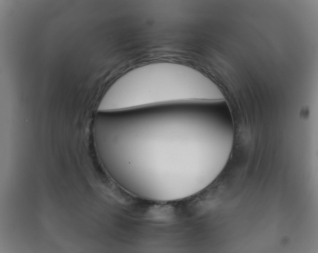 X0000091450271200708161053