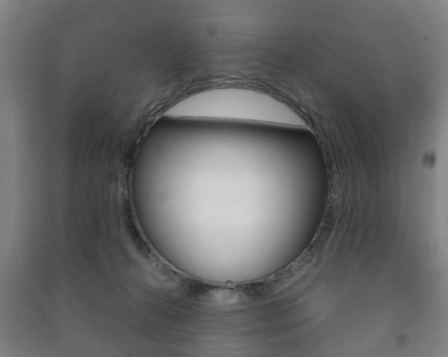 X0000091450272200708161053
