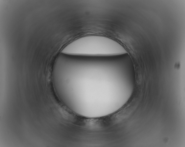 X0000091450273200708161053