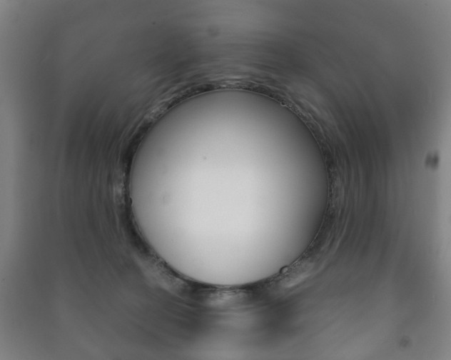 X0000091450274200708161053