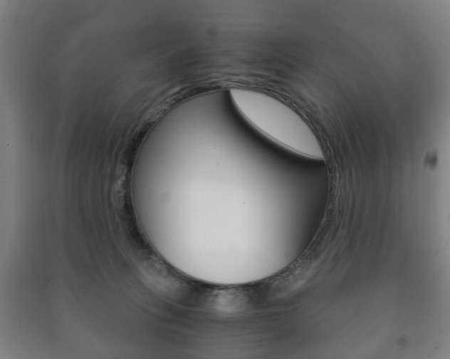 X0000091450275200708161053