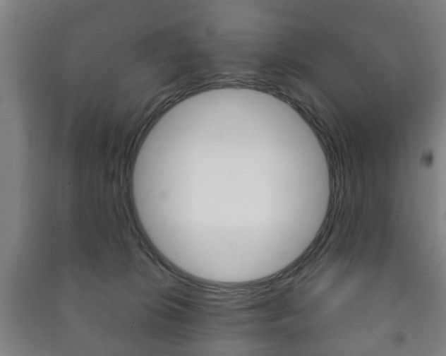 X0000091450276200708161053